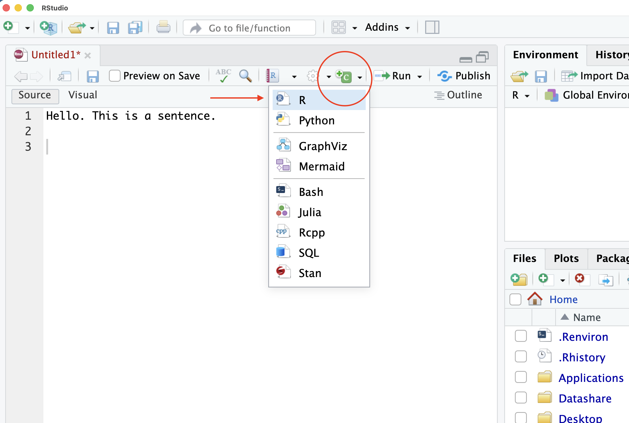 A screenshot of the R Studio interface with the Chunk menu expanded.
